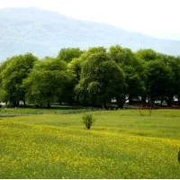 زمین فروشی روستای. ورند