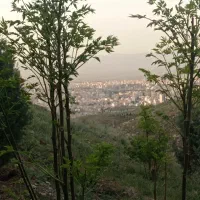 زمین ۲۲۵ متری مسکونی بینالود