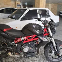 بنلی ۳۰۰ جفت وارداتی با برگه کمپانی