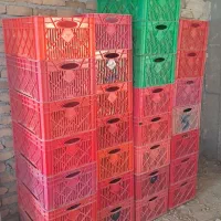 حمل سبد مرغ کشتاری