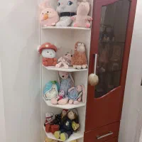 تخت و کمد و خوشخواب|تخت و سرویس خواب|بهشهر, |دیوار