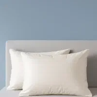 بالشتهای طبی میکروفایبر و تشک یکنفره مسافرتی