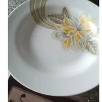 ظروف چینی|ظروف سرو و پذیرایی|ایلام, |دیوار