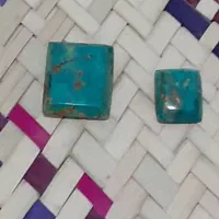 فیروزه نیشابوری