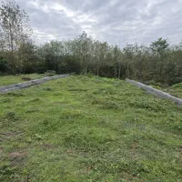 300مترزمین داخل بافت قابل ساخت ساز/خوش قواره/