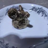 شات کله حیوان