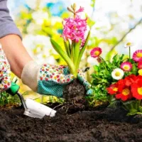 امورات باغبانی