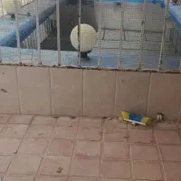 فروش باغ با امکانات عالی|فروش خانه و ویلا|بهمن صغاد, |دیوار