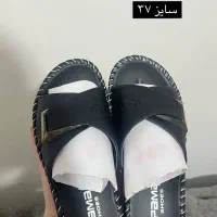 تعدادی کفش و کتونی|کیف، کفش، کمربند|رشت, توشیبا|دیوار