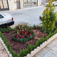 خدمات باغبانی باغچه کاری گل کاری تمام نقاط تهران|خدمات باغبانی و درختکاری|تهران, سعادتآباد|دیوار