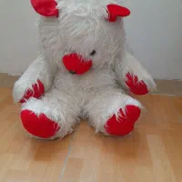خرس تدی