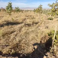 فروش باغ شهر در سلطانیه