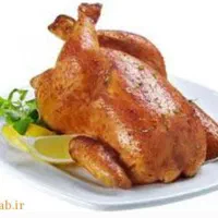 پخت غذای خانگی با  ارسال رایگان