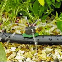 آبیاری قطره ای و قابل کنترل