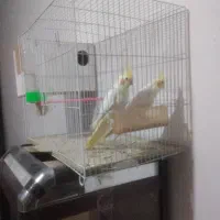 باتمام لوازم