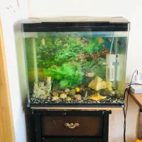 اکواریوم شیشه خم شرکتی مارک AQUA