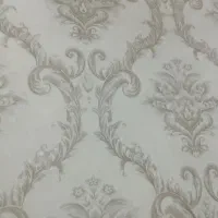 راننده ی هوو