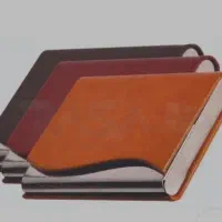 کیف کارت گمشده امیدفر