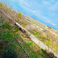 باغ میوه شاهنامه معاوضه206پارس زانتیاسوناتا207آزرا|فروش خانه و ویلا|مشهد, توس فردوسی|دیوار