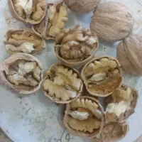 گردوی درجه ۱ و عالی
