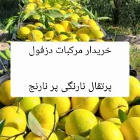 خریدار مرکبات لیمو  پرتقال  پر. هستم۱۲۰هزارتومان