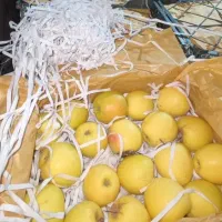 سیب سفید|خوردنی و آشامیدنی|مرند, |دیوار