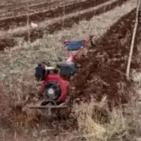 شخم و تیلر زنی باغ