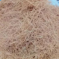 رشته|خوردنی و آشامیدنی|آزادشهر, |دیوار