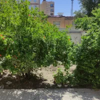 ویلایی-302متر