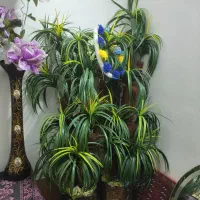 درخت نخل مصنوعی