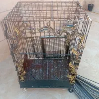 یک عدد قفس ۷۵×۹۰×۶۰ مناسب انواع طوطی