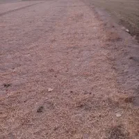 فروش فوری 1500متر زمین همراه با نیم ساعت آب