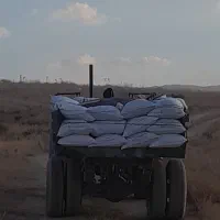 فروش لوبیا و کاه لوبیا