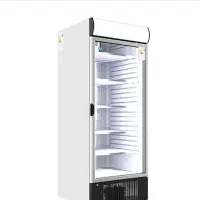 یخچال ویترینی کینو