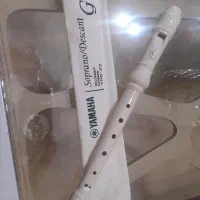 فلوت