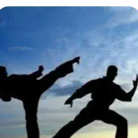 کلاس آموزش ورزش  رزمی کونگ فو