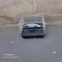 قفس همستر ، قفس خرگوش با لوازم|لوازم جانبی حیوانات|تهران, هفده شهریور|دیوار