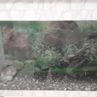 آکواریوم