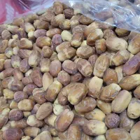 خرمای زاهدی(قسب) سوپر لوکس تضمینی،|عمده‌فروشی|ارم, |دیوار