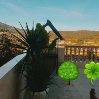 طبیعت خیره کننده جنگلهای هیرکانی وحساسیت در نظافت|اجارهٔ کوتاهمدت ویلا و باغ|شیرگاه, |دیوار