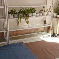 قفسه مغازه|فروشگاه و مغازه|اردبیل, |دیوار