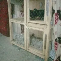 کجه دوطبقه بزرگ سالم و بدوم شکستگی|لوازم جانبی حیوانات|قم, پامنار|دیوار