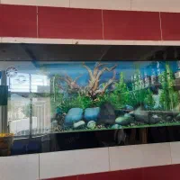 آکواریم دیواری