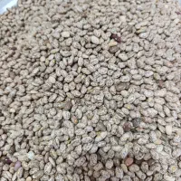 فروش حبوبات