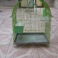 قفس مرغ عشق