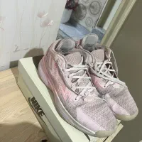 کفش ورزشی|کیف، کفش، کمربند|گرگان, |دیوار