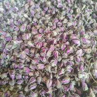 غنچه خشک  گل محمدی
