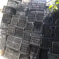سبد|ظروف نگهدارنده، پلاستیکی، یک‌بارمصرف|سرپل ذهاب, |دیوار