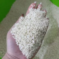 برنج چمپا و برنج طارم