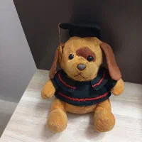 عروسک سگ دانشجو